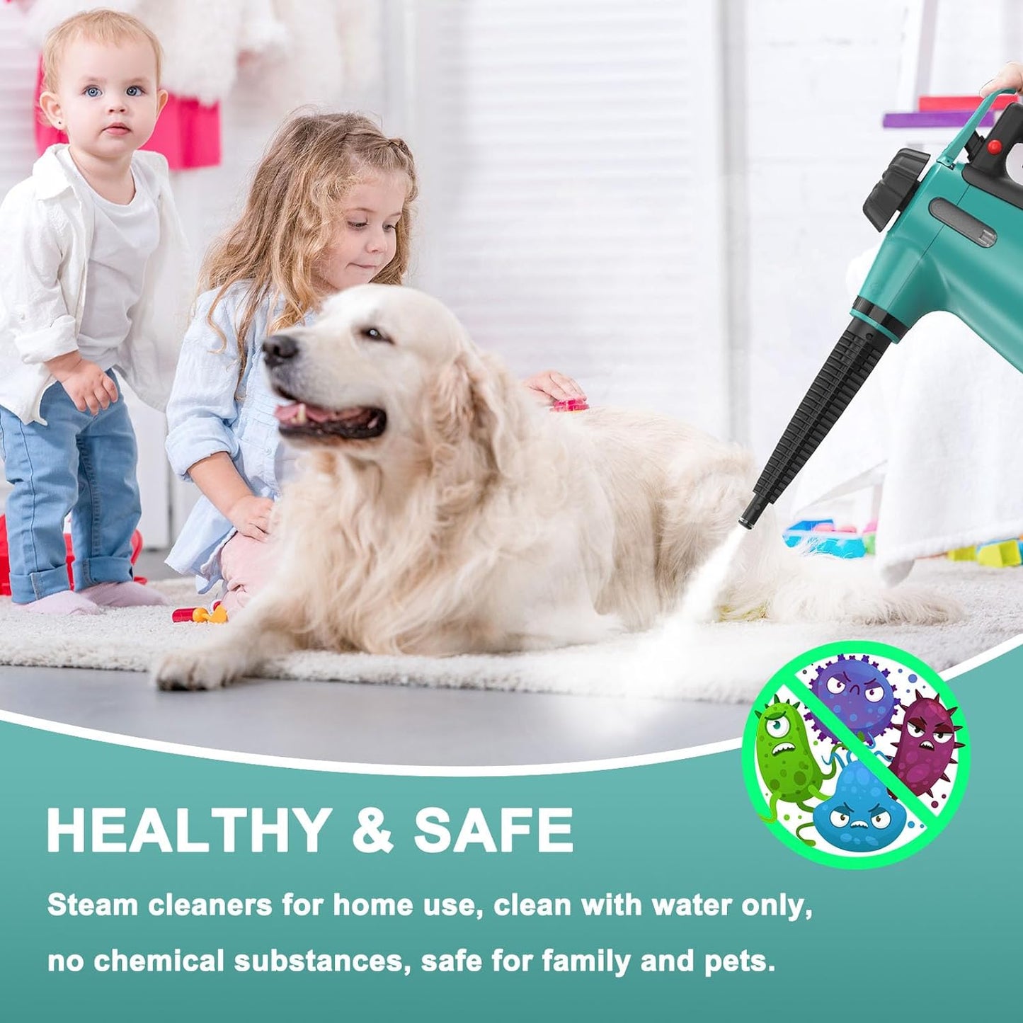 Multifunctional Handheld Steam Cleaner